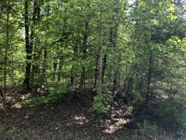 159 Beachwood Drive 10