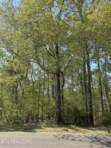 443 Kahite Trail