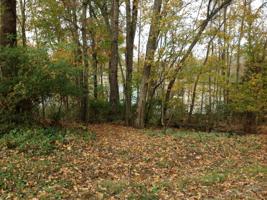 147 Inagehi Way 3