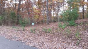 Lot 29 Block 3 Skiatook Circle 29