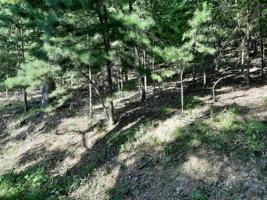 Lot 7,8 & 9 Deer Pond