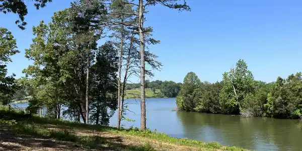 0 Forest Glade Way