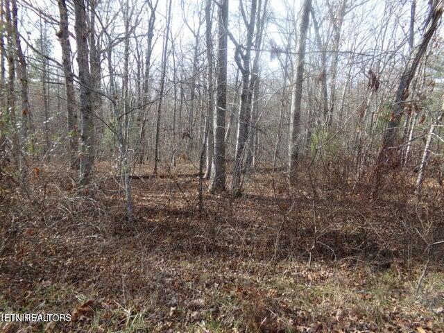 Image 1: Across From the Lake