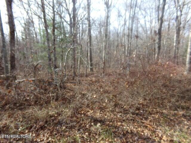 Image 2: Level Lot