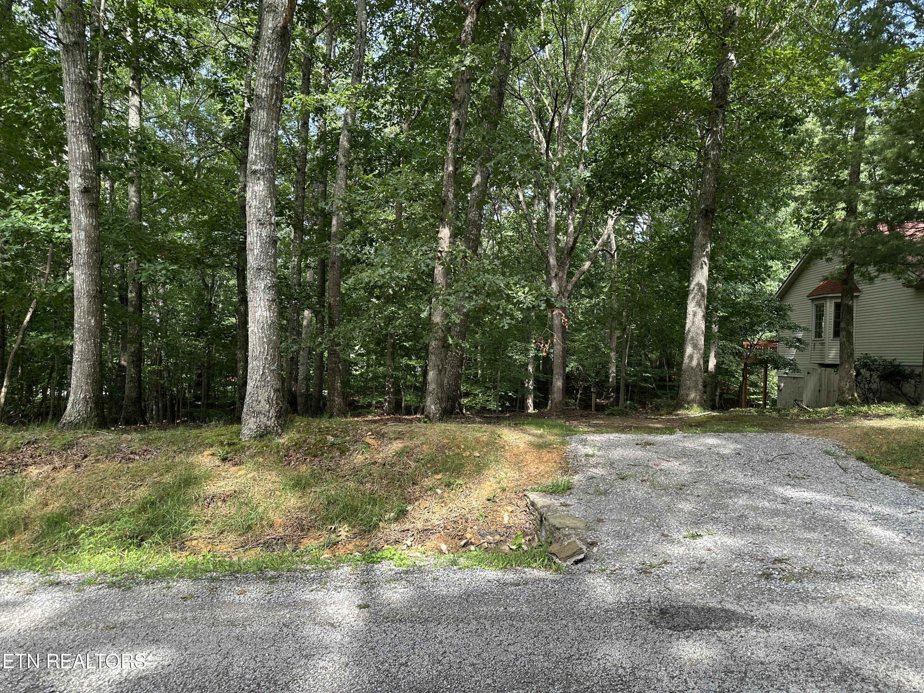 Image 2: 3925CDBD-16EB-4FD5-A3BA-20411F1996B8