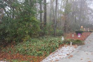 Lot 28 Block 11 Tigitsi Lane 28