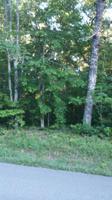 1234 Natchez Trace 5