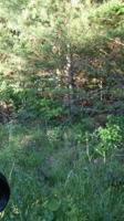 Dunbar Rd 470