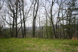 Lot # 18 Highlands Bluff 18