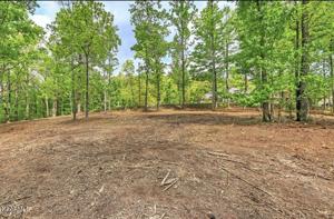 Lot 47 Cove Norris Rd