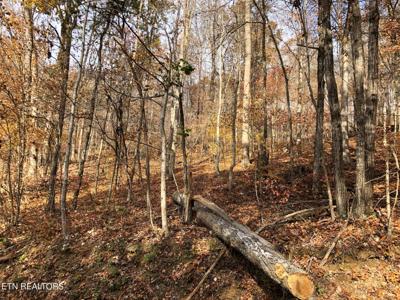 Lot 51 Harbor Lane