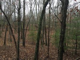 27 Clason Point 50