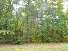 Lot 3 & 4 Pond Road 201 Rd