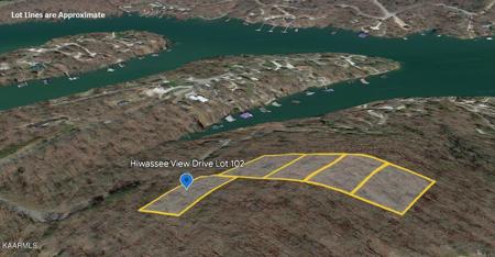 102 Hiwassee View Drive