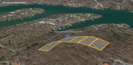 119 Hiwassee View Drive