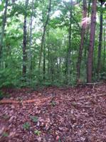 206 Old Citico Rd Lot 27  27