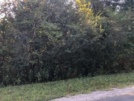 154 Tahlequah Lane 1