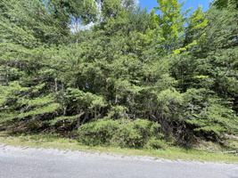 26 Laurelton Court