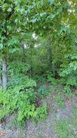 172 Brambleton Drive