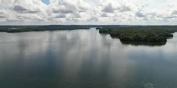 Image 4: 4