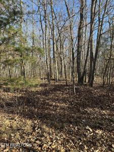 247 Albemarle Circle