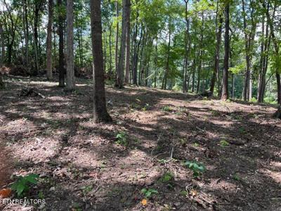 Lot #14 Demory Rd