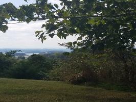 Lot 8 Shiloh Springs Rd 8