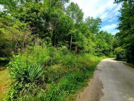 Lot 37 Tanglewood Rd