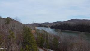Lot 298 Bluff View Road (Lot #298)