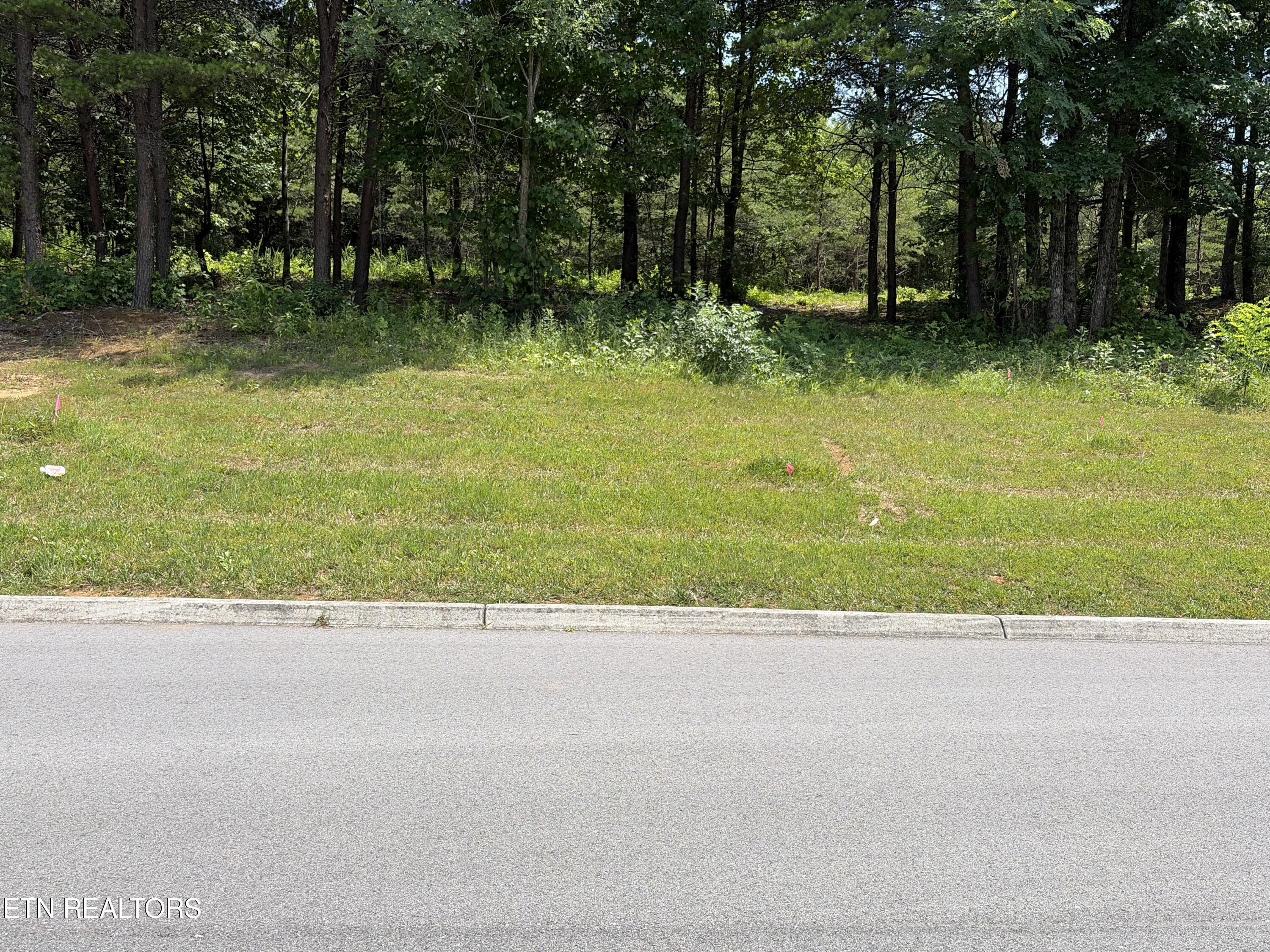 Image 3: IMG_0907