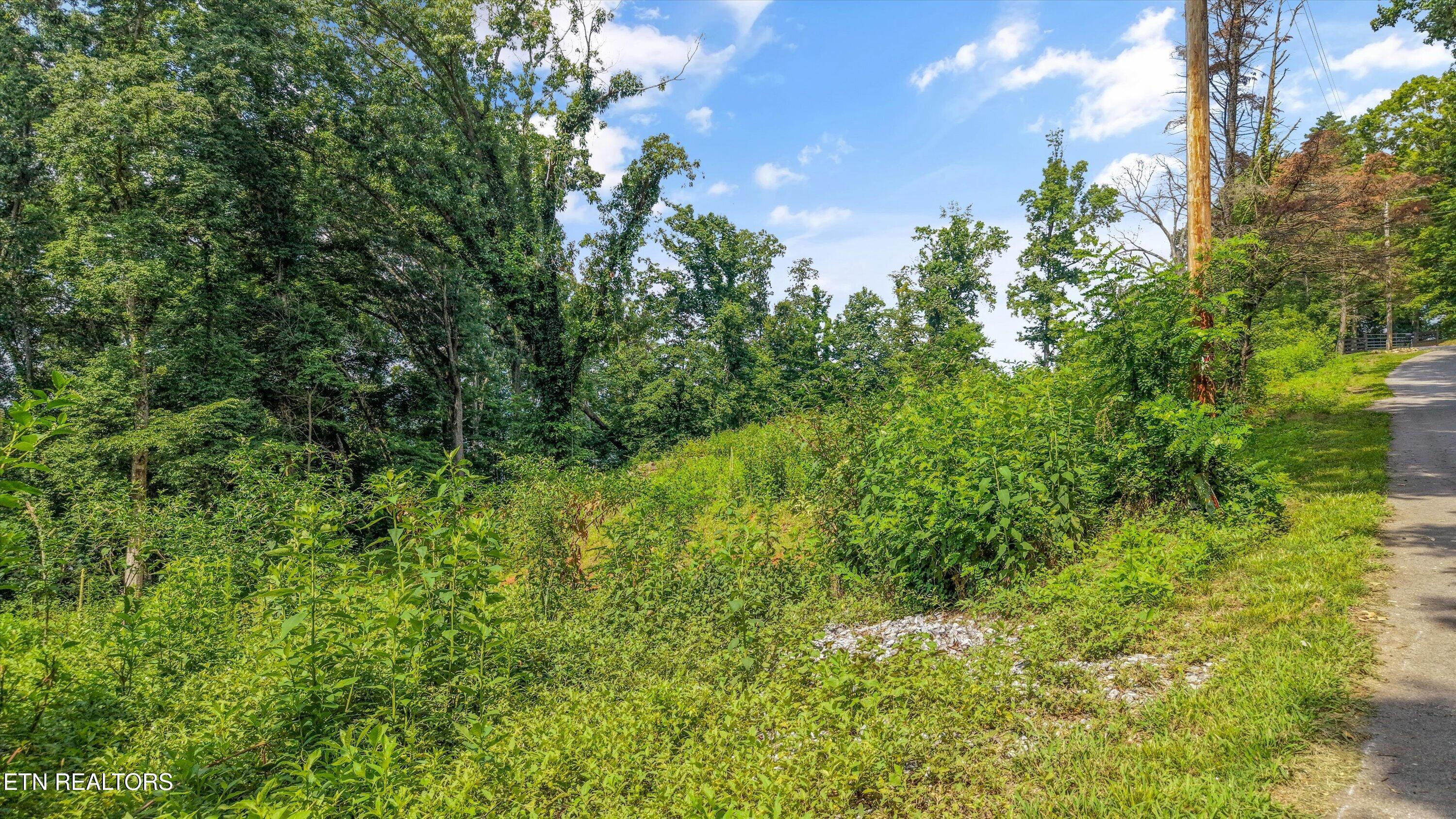 Image 2: 01-173 Cedar Grove St001