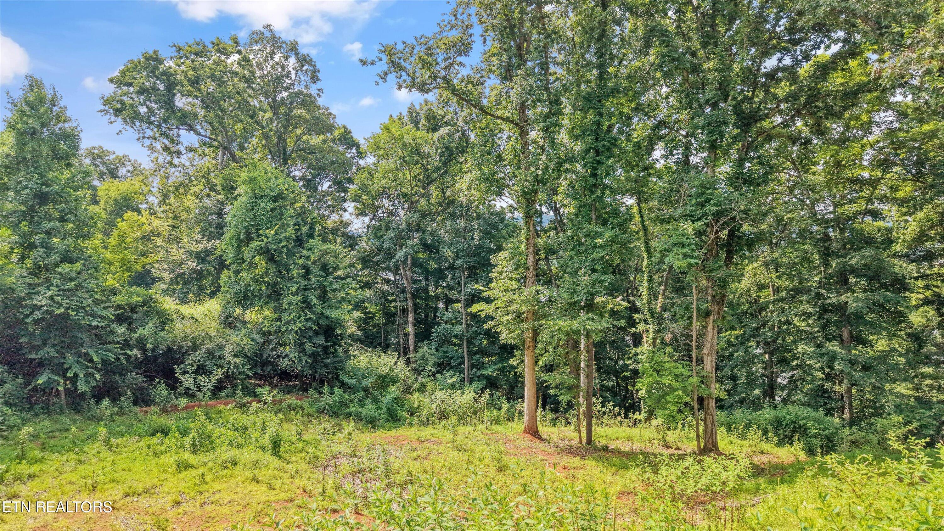Image 3: 02-173 Cedar Grove St002