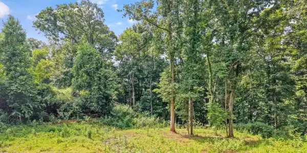 Image 3: 02-173 Cedar Grove St002