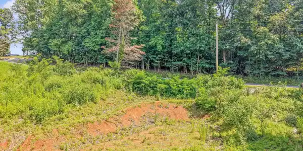 Image 4: 03-173 Cedar Grove St011