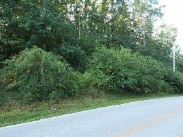 154 Meadowview Drive