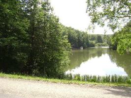 165 Pine Ridge Loop 39