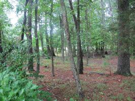 132 Cappshire Rd 95