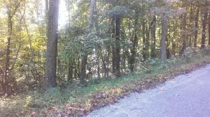 177 Pineridge Loop 48