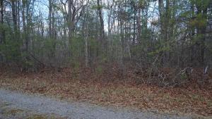 142 Thornhill Lane 17