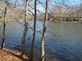 177 Ivy Brook Lane 233