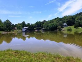 173 Bat Creek Shores Lane 10
