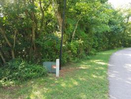 Lot 5 Sequoia Drive Drive 5