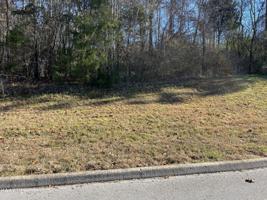Lot #202 Sandpiper Drive