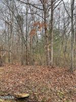 1025 Chief Day Break Drive