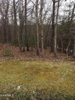 244 Kingsdown Drive