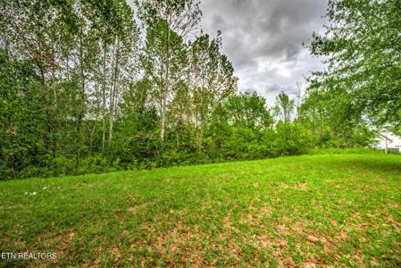 154 Pineberry Rd