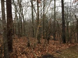 202 Osage  2