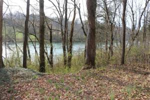 Peach Orchard Rd