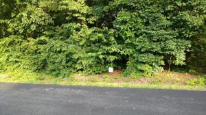 107 Alichanoska Lane 28