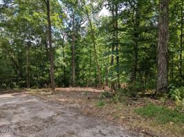 Hickory Lane